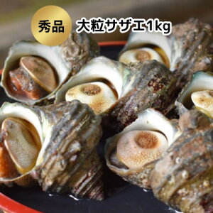 yӂ邳Ɣ[Łz TUG Ⓚ hg 1kg ( 6`7 ) H Ⓚ CN VN 嗱   lC m myzsnFz