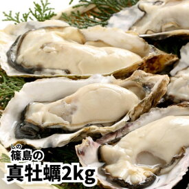 【ふるさと納税】 牡蠣 殻付き 真牡蠣 2kg 生食用 冷凍 海鮮 貝 海産物 バーベキュー BBQ 魚貝類 海の幸 海のミルク 海鮮浜焼き 夏 おすすめ 人気 愛知県 南知多町 篠島【配送不可地域：北海道・沖縄県・離島】