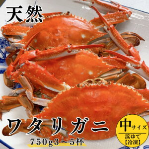 yӂ邳Ɣ[Łz l ^Kj () 750g 3`5t Ⓚ  Ot|t Zbg { Ԍ IX X CN L  VN nI Jj I VR ܂͖{ lC  m m