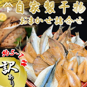 【ふるさと納税】 訳あり 自家製 干物 おまかせ 詰合せ 約5〜7種 海鮮 新鮮 天日干し ひもの 愛知県 南知多町 人気 おすすめ おかず ご飯のお供 ごはん 詰め合わせ 訳アリ 規格外 さば あじ カ