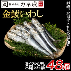 yӂ邳Ɣ[Łz yōiz 킵 ۊ 24~48 (8×3`6p)  Ⓚ  ( ӂ邳Ɣ[  ӂ邳Ɣ[ Ђ ӂ邳Ɣ[ m ӂ邳Ɣ[ ۊ CV  ߕ 