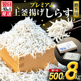【ふるさと納税】 ＜圧倒的高評価★4.88＞ 釜揚げ しらす プレミアム 500g～8kg 箱入り 小分け ふるさと納税 釜揚げ しらす 贈答 贈り物 ギフト 父の日 母の日 プレゼント 冷凍 小分け たっぷり 大容量 国産 本場 惣菜 夕食 晩ごはん おかず シラス丼 愛知県 南知多町