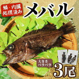 【ふるさと納税】 訳あり メバル 3尾 大きさ不揃い 下処理済み 冷凍 ワガ 3匹 魚介類 魚貝類 めばる 煮付け 塩焼き メバル めばる 新鮮 簡単調理 便利 めばる 海鮮 高級 海産物 メバル 数量限定 鮮魚 愛知県 南知多町 人気 おすすめ 訳アリ