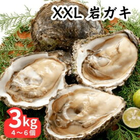 【ふるさと納税】 先行予約 XXLサイズ!天然岩牡蠣3kg(4〜6個・特上・殻付き生食用)CAS冷凍カキ 海鮮バーベキューに!