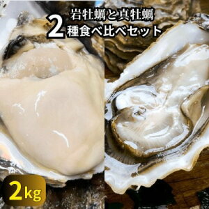 yӂ邳Ɣ[Łz 2̓VRktJL2kg(≲y&^y)Hה׃Zbg Hp/CASⓀ@CNBBQ!