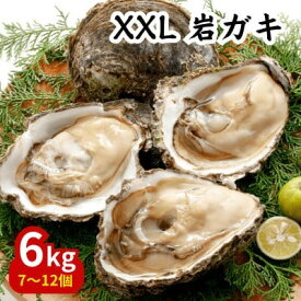 【ふるさと納税】 先行予約 XXLサイズ!天然岩牡蠣6kg(7〜12個・特上殻付き生食用)CAS冷凍カキ 海鮮バーベキューに!