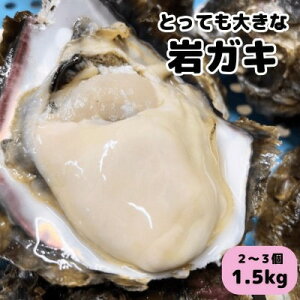 yӂ邳Ɣ[Łz XXLTCY!VR≲y/1.5kg(2`3R/ktHp)CASⓀJL CNo[xL[