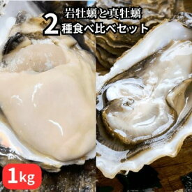 【ふるさと納税】 先行予約 篠島2種の天然殻付きカキ1kg(岩牡蠣&真牡蠣)食べ比べセット 生食用/CAS冷凍　海鮮BBQに
