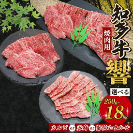 【ふるさと納税】 種類と容量選べる 焼肉用 知多牛 カルビ 赤身 焼肉セット 250g〜1.8kg 部位おまかせ 知多牛響 訳あり 焼肉用カルビ 小分け ( ふるさと納税 肉 カルビ ふるさと納税 牛 カルビ ふるさと納税 牛肉 ふるさと納税 ふるさと納税 焼肉 カルビ ) 愛知県 南知多町
