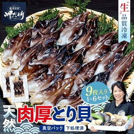 【ふるさと納税】 【選べるサイズ・セット数】 天然 肉厚とり貝 お刺身 9枚入り 新鮮 冷凍 トリガイ 刺し身 さしみ 貝 魚介類 海産物 人気 サイズ 容量 選べる ギフト 贈り物 お取り寄せ 高級 愛知県 南知多町 岬だより 特産品 特産 とり貝