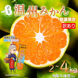 【ふるさと納税】 訳あり 温州みかん 約2kg 約4kg 早生 南知多町産 みかん ふるさと納税みかん 蜜柑 ふるさと納税蜜柑 柑橘 果物 フルーツ デザート アレンジ 人気 おすすめ 愛知県 南知多町 【配送不可地域：北海道・沖縄・離島】