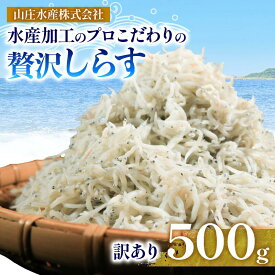 【ふるさと納税】 【特別寄附額】【高評価率94.2%】 選べる 国産しらす 500g - 4kg 訳あり 贈答 ギフト しらす干し 減塩 極み 山庄 ふるさと納税しらす ちりめん 規格外 しらす 魚 海鮮 魚介類 魚貝 規格外 健康 ダイエット 人気 ランキング 5000円 美味しい 南知多 愛知県
