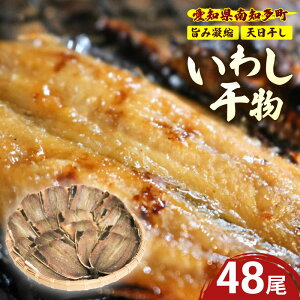 【ふるさと納税】 【 容量 選べる 】 訳あり いわし 干物 16~48尾 冷蔵 国産 パック 小分け 開き 便利 ご飯 イワシ ごはん 魚 簡単 調理 干物 真イワシ 愛知県 南知多町