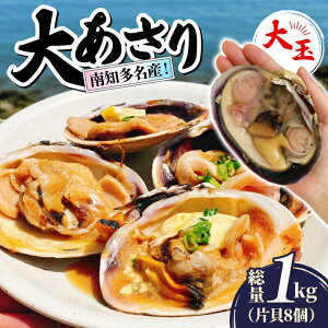 yӂ邳Ɣ[Łz mYI 傠 Jbgς  ЊL8 1kg Ⓚ vg L N Y Yi o[xL[ BBQ lĂ  傠   AT  e 
