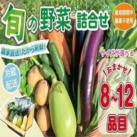 【ふるさと納税】 【容量が選べる】 野菜セット (8~12品目) 旬 季節 南知多産 詰め合わせ 農薬・化学肥料不使用 農家おまかせ 季節の野菜 旬の野菜 料理 とりのさと農園 愛知県 南知多町