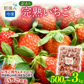 【ふるさと納税】 まるは食堂 マルハリゾート いちごの丘の『 訳あり 』完熟冷凍いちご 500g~3kg いちご 苺 冷凍いちご 訳あり イチゴ 果物 スイーツ デザート フルーツ アイス ジャム シャーベット かき氷 ストロベリー 冷凍 章姫 かおり野 紅ほっぺ 甘い 氷菓 南知多町