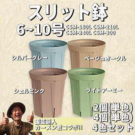 【ふるさと納税】 カーメン君監修 スリット鉢 選べる サイズ(6号〜10号) カラー(4色) 個数(2個 or 4個) ふるさと納税 スリット鉢 ふるさと納税 植木鉢 プランター ふるさと納税 園芸 ふるさと納税 ガーデニング 花壇 兼弥産業 愛知県 南知多町 [離島配送不可]