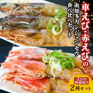 yӂ邳Ɣ[Łz Ԃ 100g(3~4C) Ԃ (5C)  m JWZE Hה Zbg CV  Gr ԊCV ԃGr ԊCV ԃGr ؍ ĂȂ ӎ ܂ O  