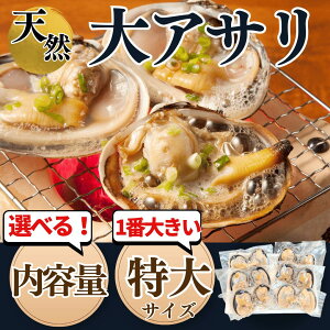 yӂ邳Ɣ[Łz e Iׂ 1~4kg VR 傠 TCY  Ⓚ ^t  ( CN VN AT o[xL[ L  IIAT 1kg 2kg 3kg 4kg  m m