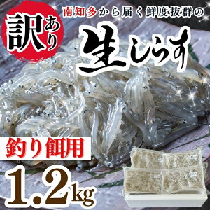 yӂ邳Ɣ[Łz  炷ނap 200g×6