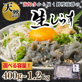 【ふるさと納税】 容量 選べる 生しらす お刺身 約400g~1.2kg 岬だより 冷凍 小分け 真空 便利 簡単 ( 刺し身 しらす 魚 さかな 海鮮 ふるさと納税刺身 ふるさと納税刺し身 ふるさと納税しらす ふるさと納税生しらす 愛知県 南知多町【配送不可地域：北海道、沖縄、離島】