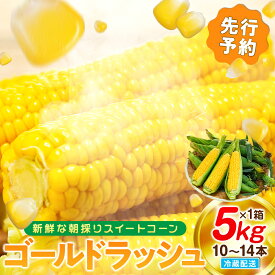 【ふるさと納税】 【先行予約 6月下旬から出荷】 スイートコーン 5kg 10〜14本 冷蔵 国産 とうもろこし 先行予約 数量限定 コーン 野菜 新鮮 焼き 蒸し 産地 直送 甘い 甘口 子ども 子供 小分け 種子 肥料 さわやか すっきり 糖度 黄色 人気 おすすめ ご褒美 愛知県 南知多町