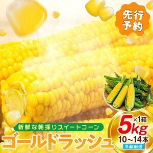 yӂ邳Ɣ[Łz ys\ 6{oׁz XC[gR[ 5kg 10`14{ ① Y Ƃ낱 s\ ʌ R[  VN Ă  Yn  Â Ì qǂ q  