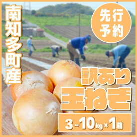 【ふるさと納税】 選べる 国産玉ねぎ 3 〜 10kg 【2027年先行予約 5〜6月出荷】 ( ふるさと納税 玉ねぎ ランキング ふるさと 野菜 オニオン 甘い 玉葱 肉じゃが ハンバーグ 家庭用 栽培 お野菜 ベジタリアン 大きさ不揃い 先行予約 3kg 5kg 10kg 愛知県南知多町
