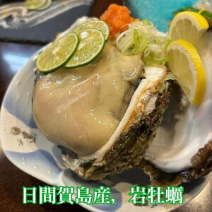 yӂ邳Ɣ[Łz Iׂ ԉ꓇Y VR ≲y 2kg 4kg 6kg ≲y y  L L L   CN [H ͂ NxQ ① VN m m