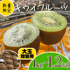 【ふるさと納税】【先行予約】【12月上旬~順次発送】キウイ フルーツ 無農薬 グリーンキウイ 腸活 健康 甘い キウイフルーツ 大玉 1~1.2kg 贈答品 贈答用 贈り物 栽培期間中農薬・化学肥料不使用 デザート 果物 【配送不可地域：北海道 青森 秋田 岩手 沖縄 離島】