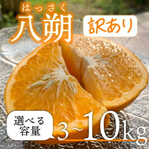 yӂ邳Ɣ[Łz ys\zy3{~z ͂ n _ 󂠂 3~10kg ͔|Ԓ_Ew엿sgp fU[g ʕ  Y ʌ t[c nbTN _
