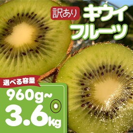 【ふるさと納税】 【先行予約】【12月上旬~順次発送】 訳あり キウイフルーツ 960g~3.6kg 腸活 グリーンキウイ 健康 甘い キウイ フルーツ 無選別 みつばちキウイ 規格外 傷 デザート 果物 国産 青果 愛知県 南知多町 【配送不可地域：北海道 青森 秋田 岩手 沖縄 離島】