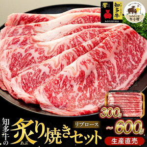 yӂ邳Ɣ[Łz eʑIׂ m  u[X tĂ Zbg 300g 600g Ⓚ ē Y i ӂ邳Ɣ[ ē  Ă   ӂ邳 ӂ邳Ɣ[ u[Y ē jm 