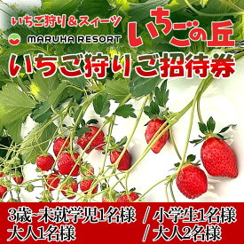 【ふるさと納税】 まるは食堂 マルハリゾート いちごの丘『いちご狩り』チケット いちご いちご狩り 章姫 かおり野 甘い 完熟 新鮮 穫れたて 香り豊か 自然 カフェ パフェ スイーツ ケーキ いちごがり 招待券 おすすめ ふるさと納税 愛知 南知多 愛知県南知多町 知多半島
