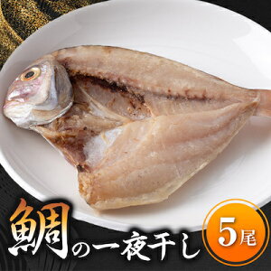yӂ邳Ɣ[Łz  銱 5 Ⓚ   Y Y ⒃Ђ ݂ ߂ CN VN  C̍K CY V[t[hGEG m m