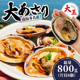【ふるさと納税】 南知多名産！ 大あさり カット済み 大玉 片貝8個 (400g×2p) 800g 冷凍 プロトン凍結 魚貝 鮮魚 魚太郎 特産品 バーベキュー BBQ 浜焼き 酒蒸し 愛知県 南知多町 オオアサリ