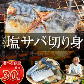 【ふるさと納税】 焼くだけ超簡単! 塩 サバ 切り身 6~30切 約550g ~ 約2.8kg 【内容量が選べる】 訳あり 塩サバ 塩鯖 サバ 小分け 簡易包装 美味しい 人気 夕食 晩ごはん 惣菜 おかず さば 焼魚 海鮮 お魚 魚 愛知県 南知多町