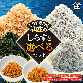 【ふるさと納税】 選べる 訳あり しらすセット しらす アキアミエビ 生しらす 塩蔵わかめ しらす佃煮 あきあみえび佃煮 規格外 簡易包装 小分け しらす干し オールスター 海鮮 新鮮 魚 海老 エビ 夕食 晩ごはん 惣菜 夕ご飯 愛知県 南知多町