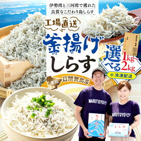 【ふるさと納税】 【工場直送だから新鮮！】 しらす 1kg ~ 2kg 釜揚げしらす ( ふるさと納税しらす ちりめん ふるさと納税釜揚げ シラス 大容量 理由あり 訳あり 規格外 しらす 日間賀島 丸豊 ランキング ) 愛知県 南知多町 人気 おすすめ