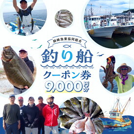 【ふるさと納税】 [ 師崎漁協 ] 釣り船 割引クーポン9,000円分 釣り 乗り合い 船 魚釣り フィッシング 体験 春 夏 秋 冬 魚 魚 チケット レジャー 愛知県 南知多町 人気 おすすめ 南知多 愛知 東海 海 漁船 東海地方