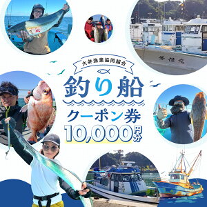 yӂ邳Ɣ[Łz [ 䋙 ] ނD N[|10,000~ ނ 荇 D ނ tBbVO ̌ `Pbg W[ t  H ~   m m lC  m 