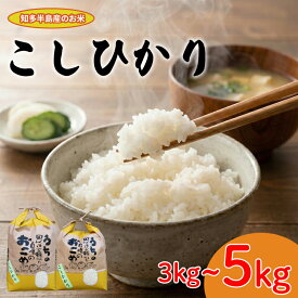 【ふるさと納税】 令和7年産 こしひかり 選べる 3kg 5kg お米 こめ ライス ご飯 愛知県産