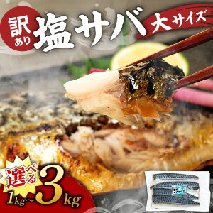 yӂ邳Ɣ[Łz Iׂe 󂠂 To mEF[Y tB 500g~3kg To To ΃tB  L  C̍K  CN [H ӂ͂ [  y y ȒP ȈՕ
