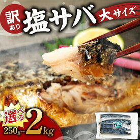 【ふるさと納税】 選べる容量 訳あり 塩サバ ノルウェー産 フィレ 250g~2kg サバ 塩サバ さばフィレ さば 魚貝類 魚介 海の幸 お魚 海鮮 夕食 晩ごはん 夕ご飯 おかず 惣菜 お手軽 簡単 簡易包装 訳あり 規格外 大容量 冷凍 使い勝手抜群 愛知 南知多