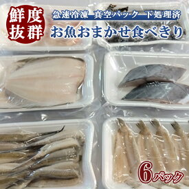 【ふるさと納税】鮮度抜群！お魚おまかせ食べきり6パック・下処理加工してあるので解凍してすぐに調理できます。※着日指定不可※北海道・沖縄・離島への配送不可