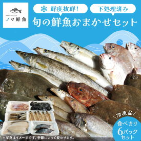 【ふるさと納税】鮮度抜群！お魚おまかせ食べきり6パック・下処理加工してあるので解凍してすぐに調理できます。 ※北海道・沖縄・離島への配送不可 セット 海鮮 鮮魚 魚 下処理済 新鮮 海鮮盛り合わせ 詰め合わせ 人気 おすすめ 愛知県 美浜町