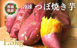 yӂ邳Ɣ[ŁzyڏĂ͂ȂсzⓀڏĂ 1.5kgbĂ ₫ ⓀĂ Ⓚ₫ ڏĂ ܂ Tc}C lC َq  XC[c LO 