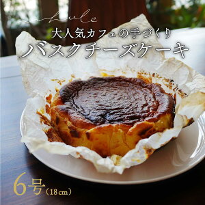 【ふるさと納税】バスクチーズケーキ | スイーツ ホール 6号 冷蔵 ※北海道・沖縄・離島への配送不可 スイーツ おやつ デザート 甘味 お菓子 洋菓子 クリーミー 濃厚 チーズ ケ