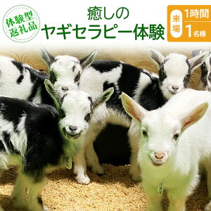 �y�ӂ邳�Ɣ[�Łz�y�̌��^�ԗ�i�z�����̃��M�Z���s�[�̌��i����/1����/1���j