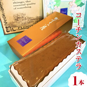 yӂ邳Ɣ[ŁzR[`JXe 1{ b JXe ÉR[` Ăَq mَq  َq  XC[c  lC lߍ킹 Zbg 蕨 v[g Mtg m 